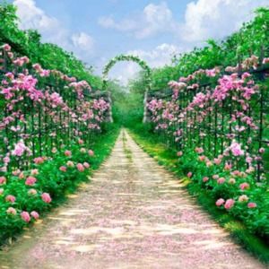 Meet your Posher, Lynnel